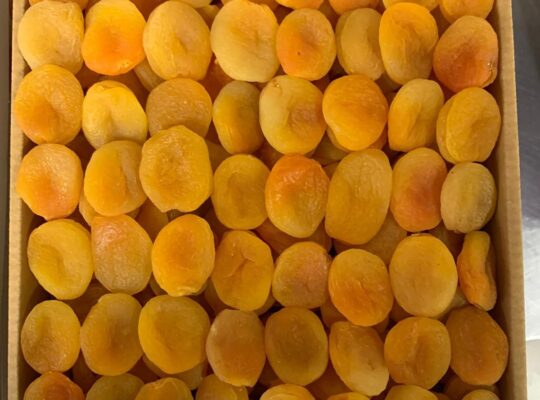 Dried Apricots